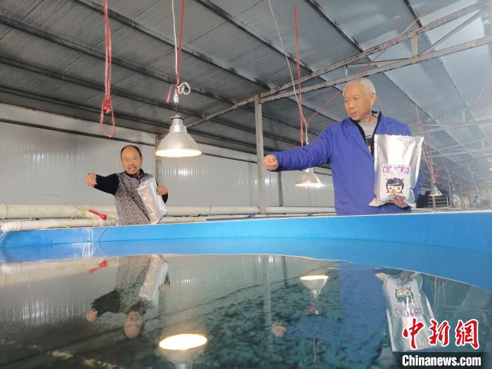 （乡村行·看振兴）江西上高：“鱼儿岸上养” 游出致富新路径