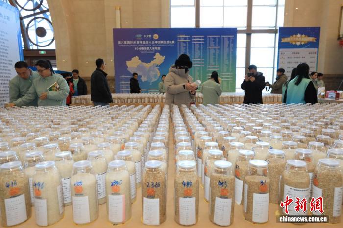 中国2378份米样参评“大米界的奥运会”,中国2378份米样参评“大米界的奥运会”